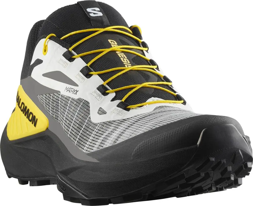 Кроссовки Salomon GENESIS