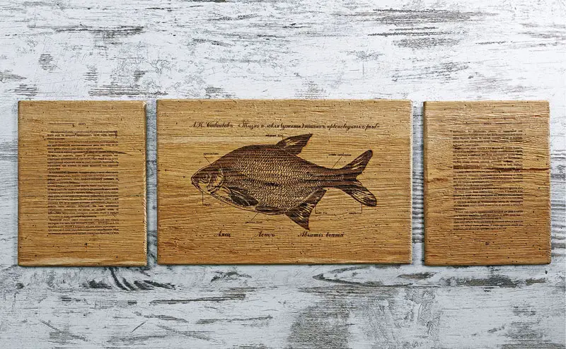 Картина триптих Fish-Point «Лящ»