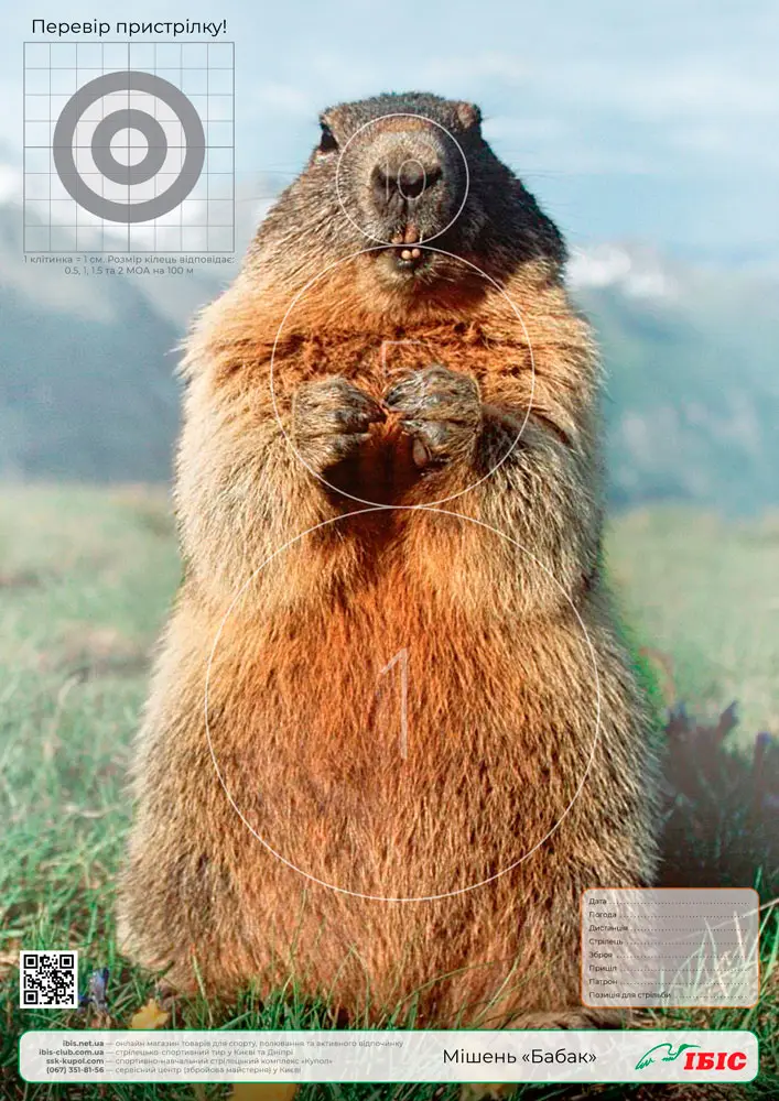 Мішень ІБІС Бабак 297*420 мм картон