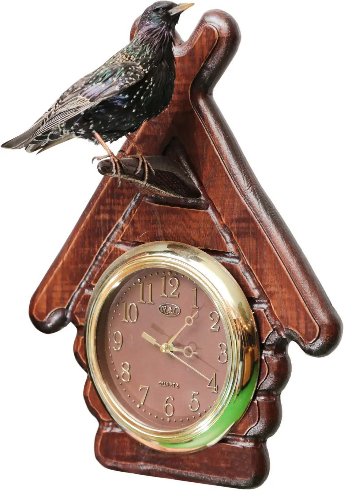 Опудало "Дрозд з годинником"