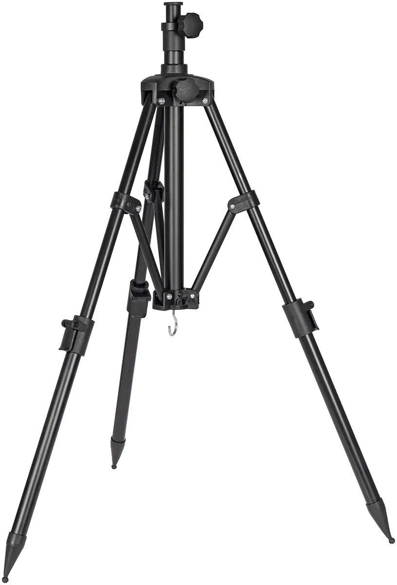 Тринога Brain