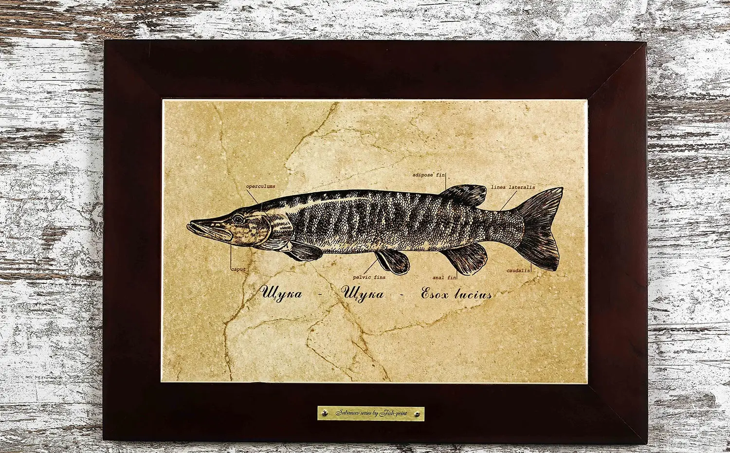 Картина Fish-Point «ЩУКА»