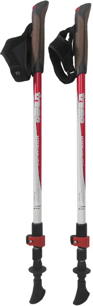 Палки для скандинавской ходьбы Tramp TRR-004 Compact
