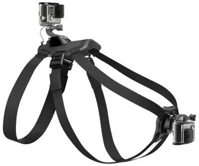 Кріплення GoPro Fetch Dog Harness для собак