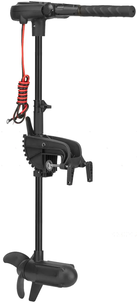 Електромотор Haswing Protruar 1.0 65lbs 12V чорний без щіток