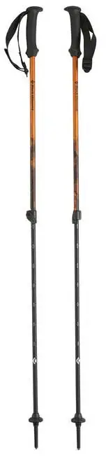 Трекінгові палиці Black Diamond 112158 First Strike