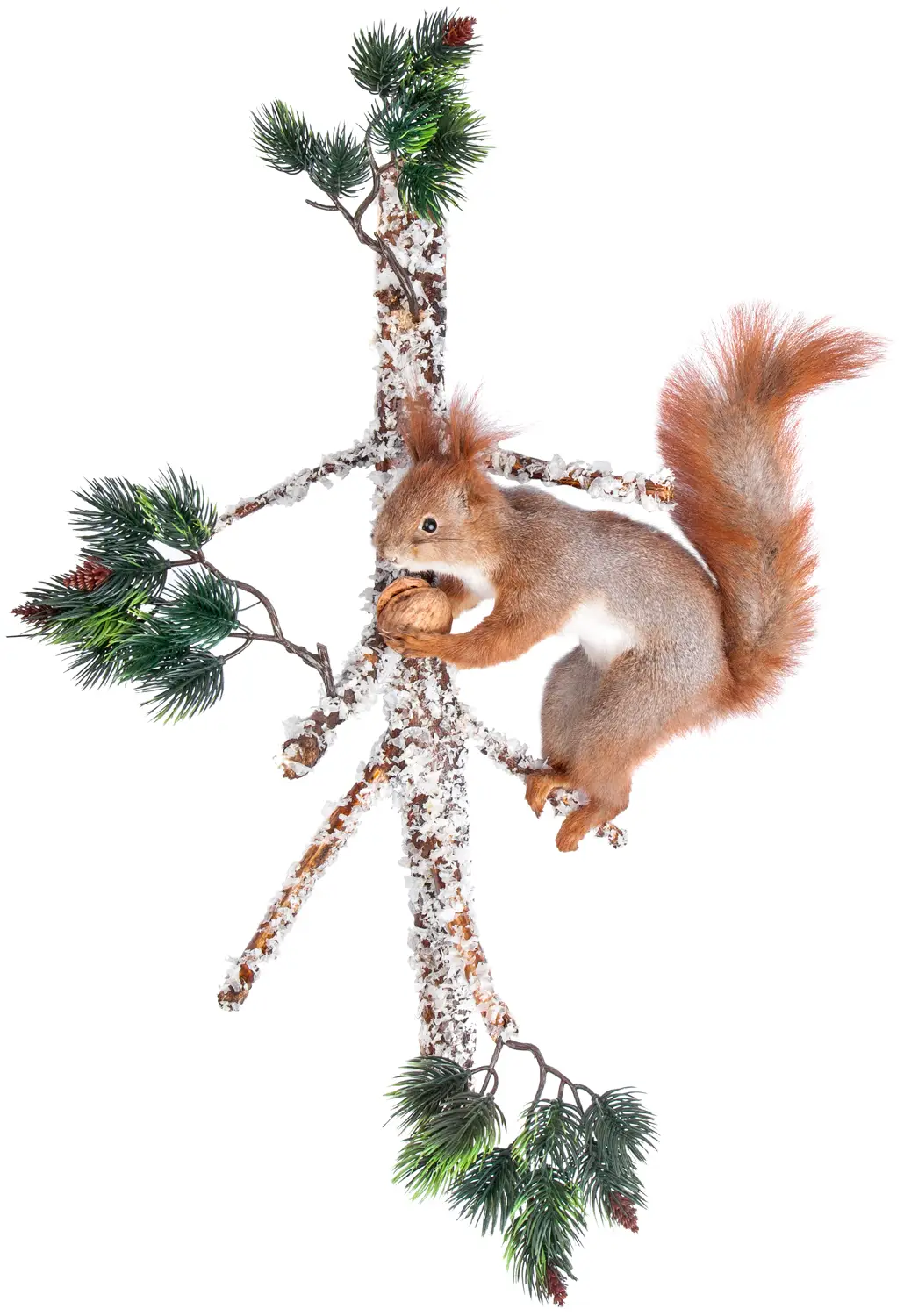 Опудало "Білка"