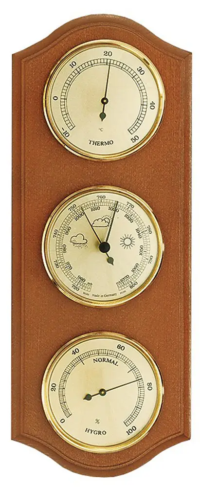 Метеостанція Moller Alder 203379 Brown