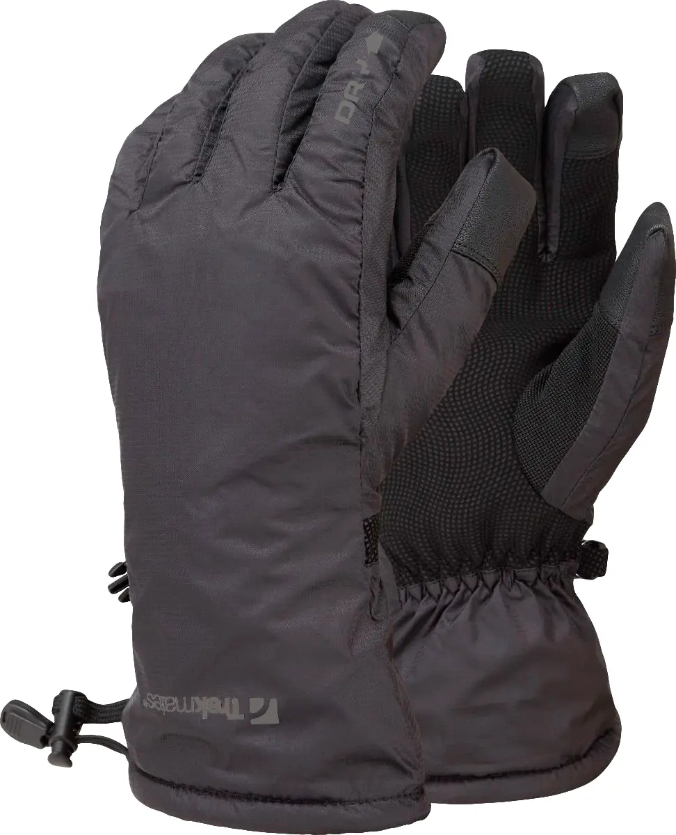 Перчатки Trekmates Classic DRY Glove M TM-004543 Black