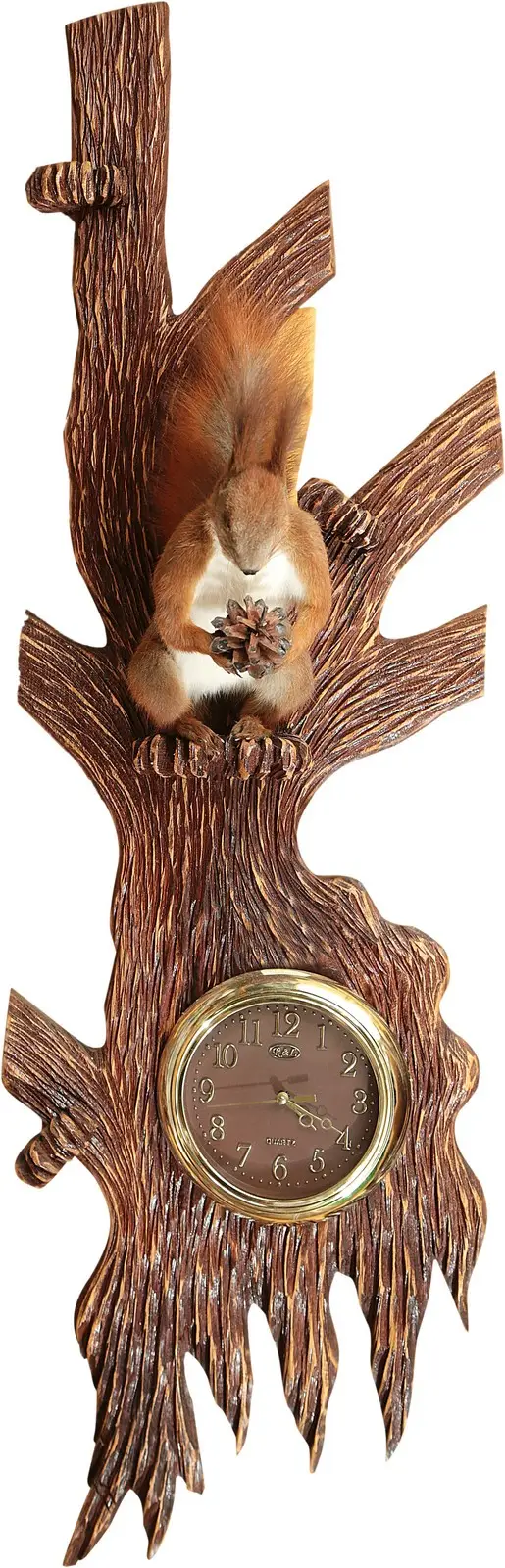 Опудало "Білка" з годинником