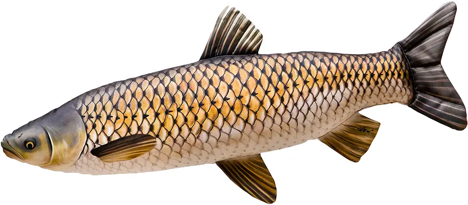 Подушка 3KBaits "Амур" NEW 75*30см