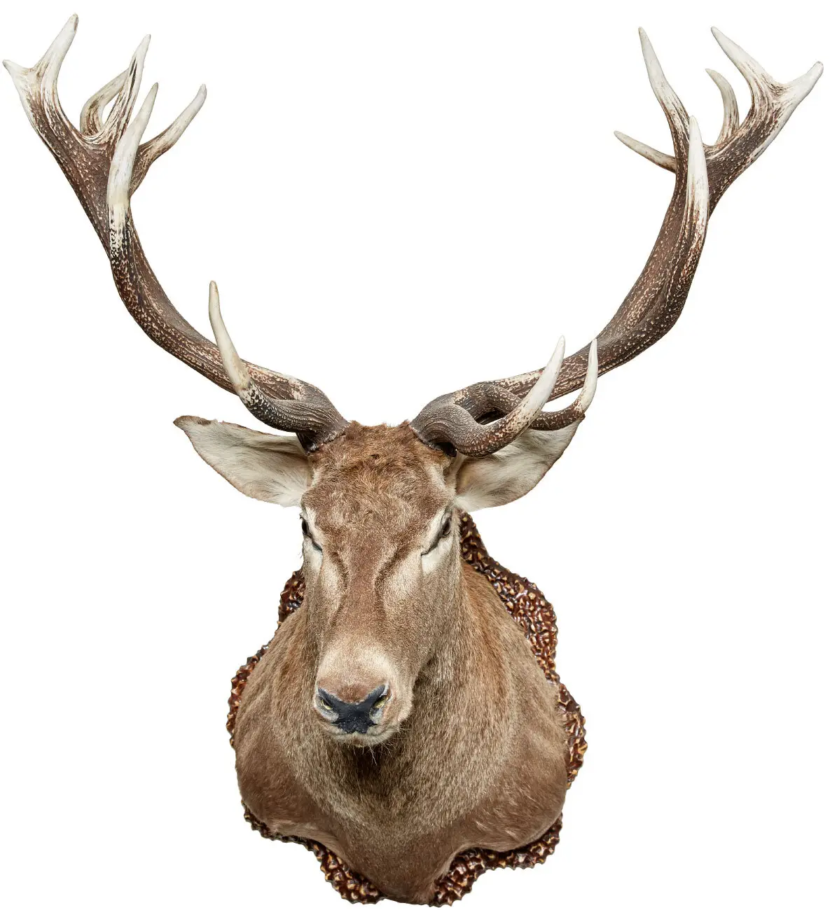 Опудало "Олень"