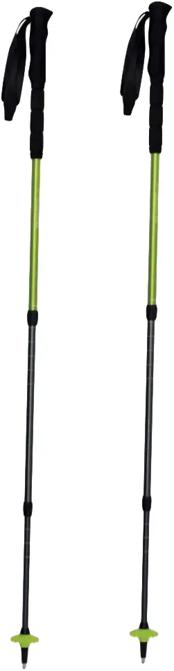 Трекінгові палиці Pinguin Light TL Foam