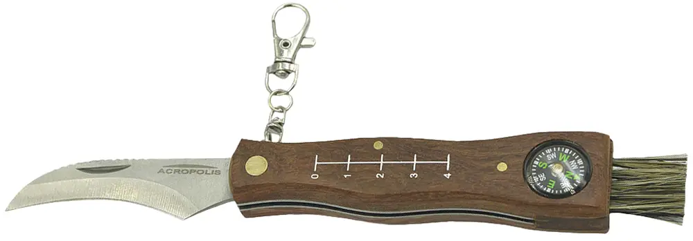 image-nizh-acropolis-ng-1-gribnika-z-kompasom