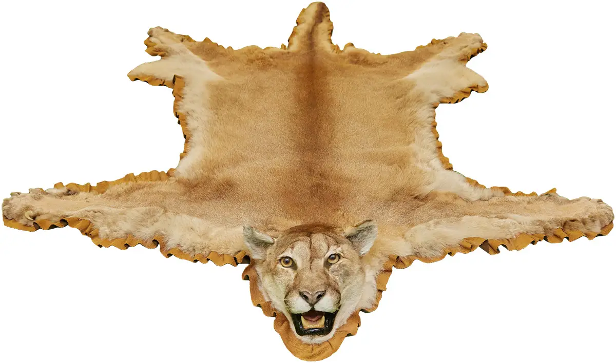 Шкіра Малихін П.П. "Пума"