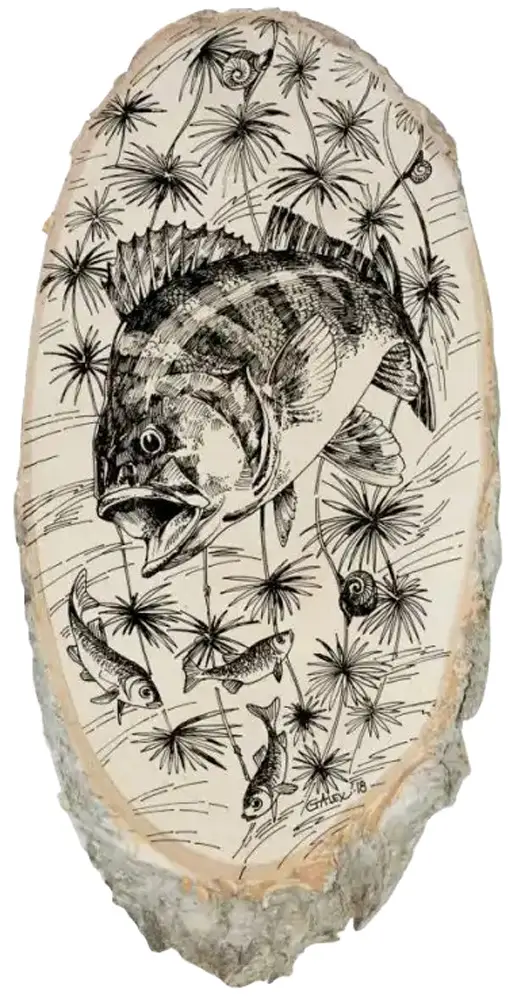 Доска художественная Acropolis ДР-3ш "Окунь" 17х38см