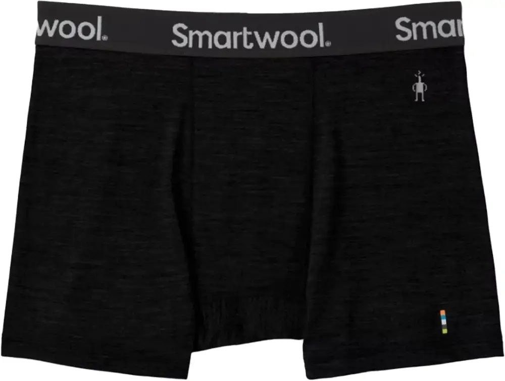 Трусы Smartwool Men’s Merino Sport 150 Boxer Brief Boxed