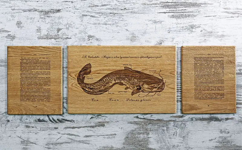 Картина триплекс Fish-Point "СОМ"