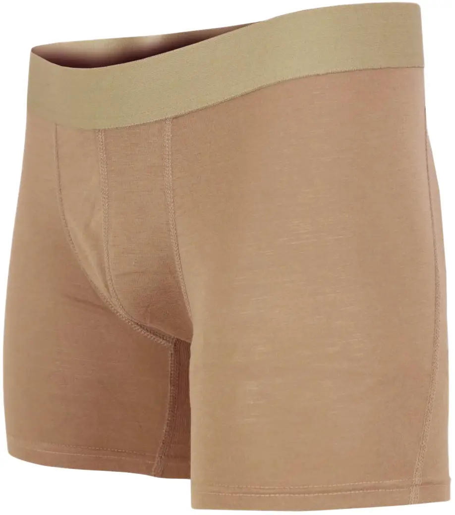 Термошорты Fahrenheit Power Dry FR S/R Coyote