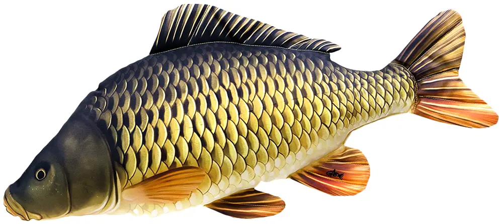 Подушка 3KBaits Короп 39х15см
