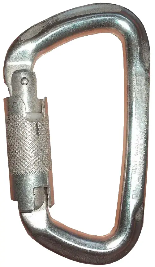 Карабін Climbing Technology D-Shape WG Silver