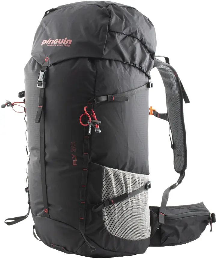 Рюкзак Pinguin Fly 30 2020 Black