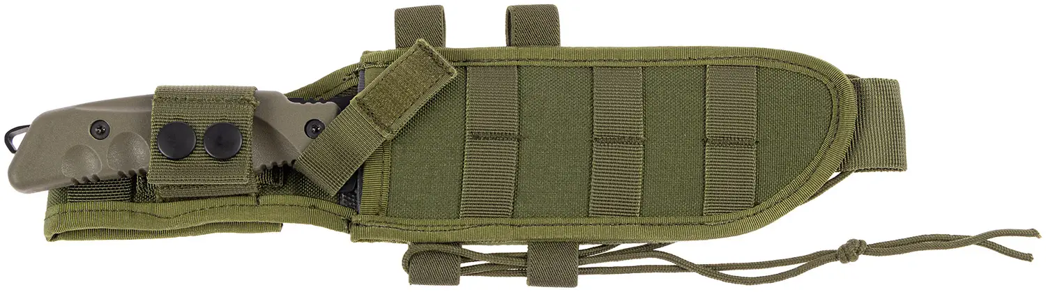 Fotosuratlarni sorish eski fohishalar