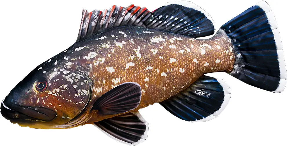 Подушка 3KBaits Кам&#39;яний окунь NEW 100х45см