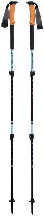 Трекінгові палиці Black Diamond W Trail Cork Alpine Lake