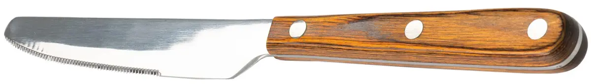 Ніж GSI Outdoors Rakau Table Knife