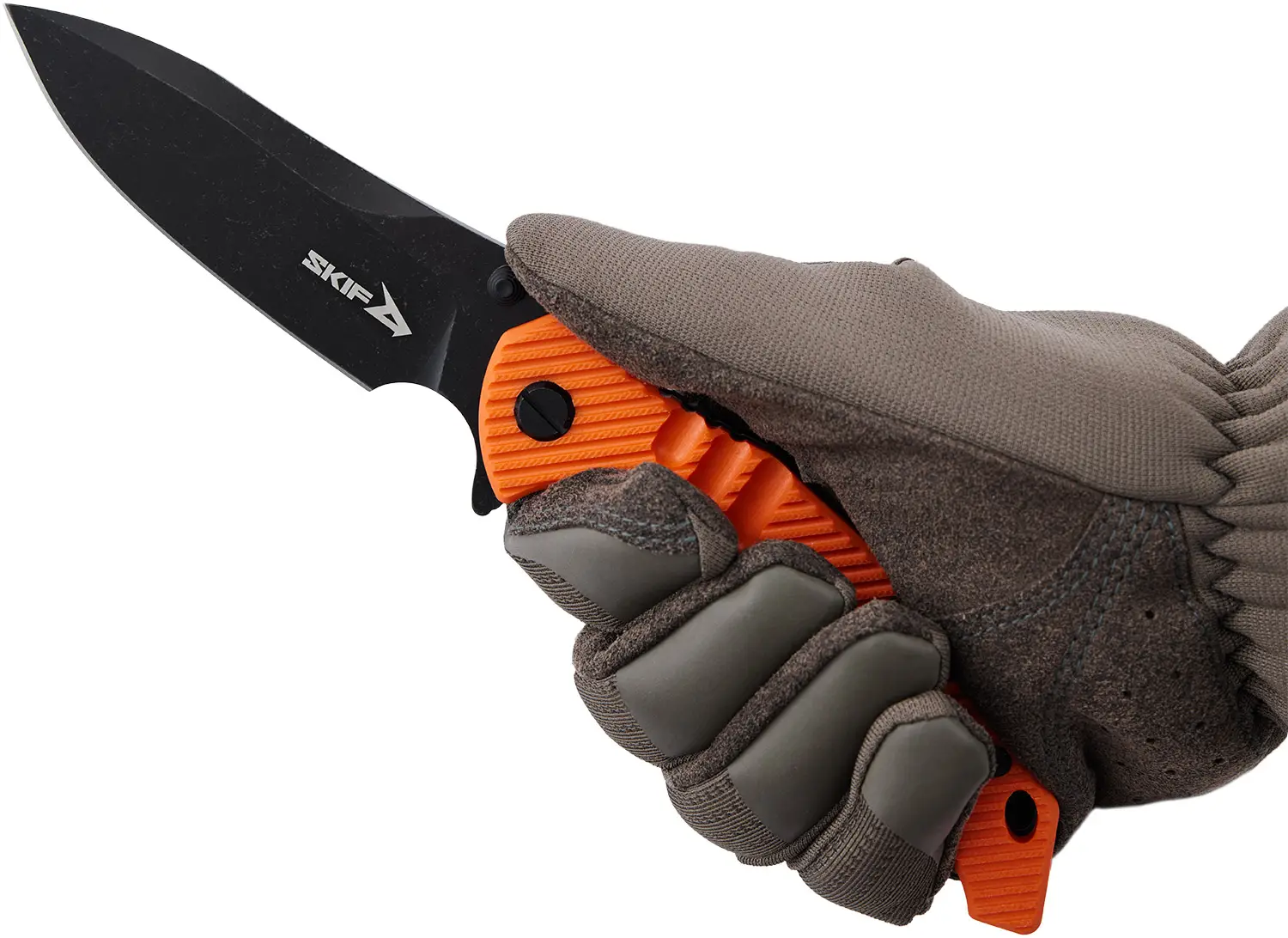 rich-content-addition-image