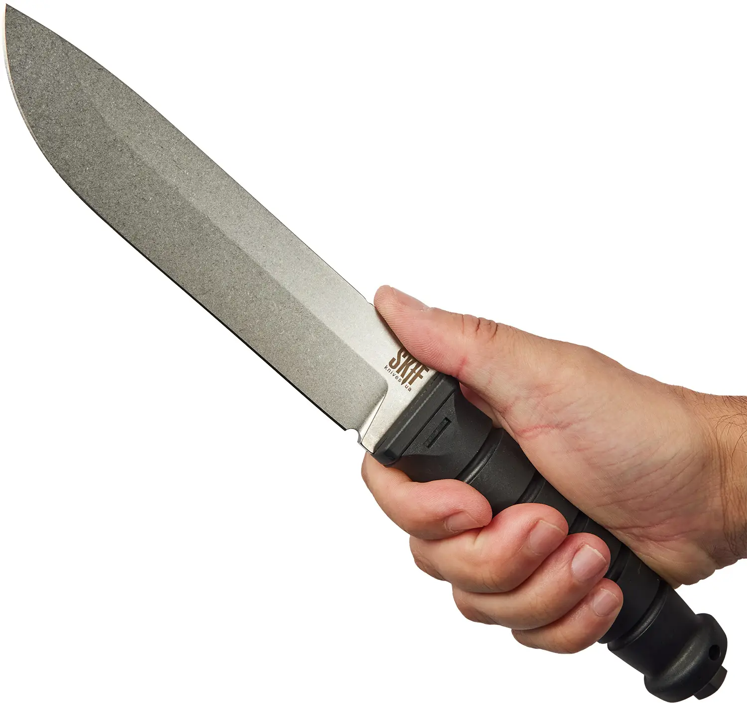 rich-content-addition-image