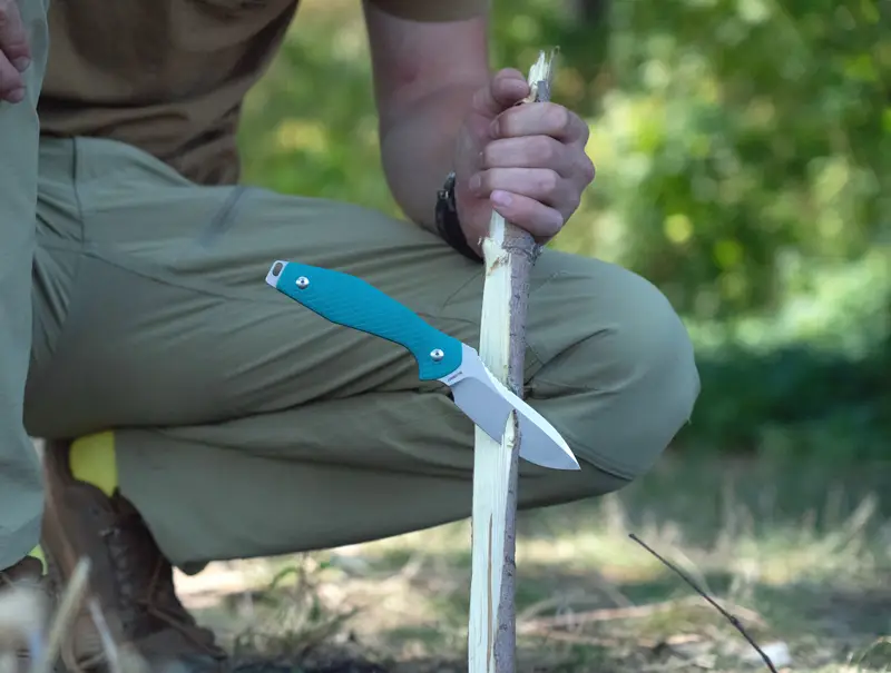 rich-content-addition-image