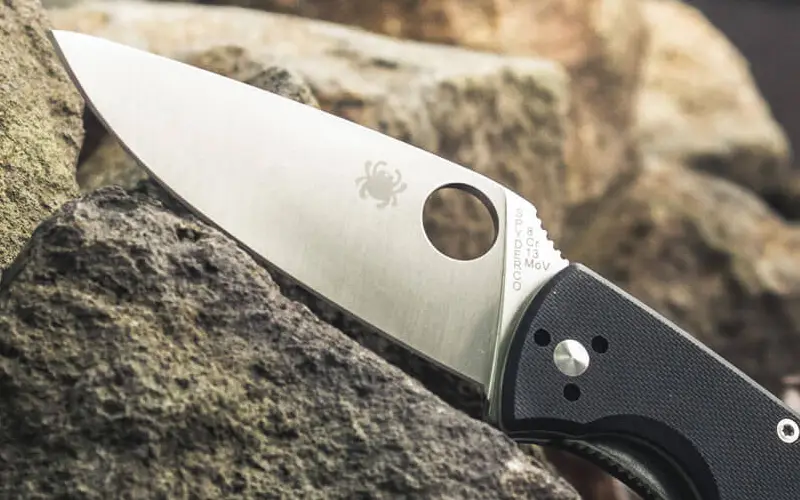 Нож Spyderco Tenacious Lightweight (C122PBK) 871389 — купить в